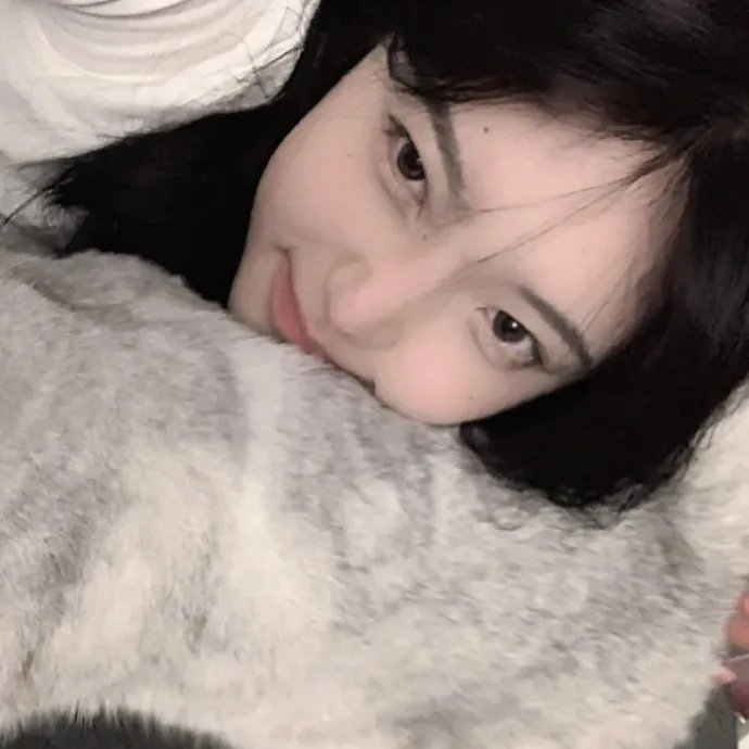 解放者:欧陆决战500天